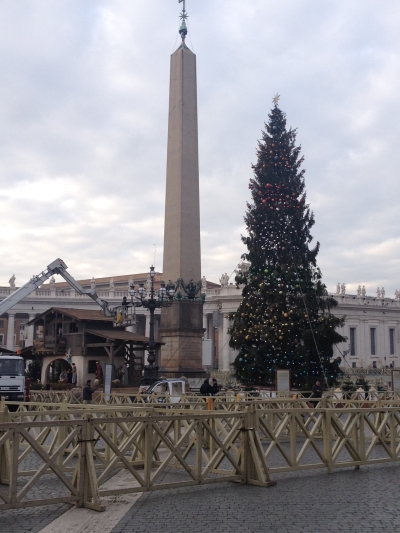 Cây thông và hang đá Giáng sinh được dựng tại quảng trường Thánh Phêrô do các thành phố của Ý tặng