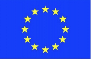 Lá cờ khối EU