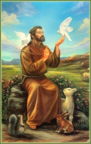 Thánh Franziscus, người yêu mến thiên nhiên